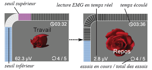 Jeux biofeedback de la rose pour la relaxation et le travail