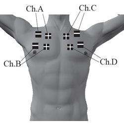 TD® electrostimulateur musculaire fessier abdominale pectoraux dos